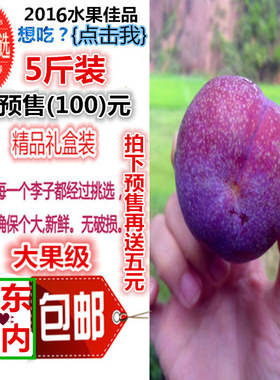 四川特产正宗美国黄金李子黄香槟李黄布林恐龙蛋软甜新鲜孕妇水果