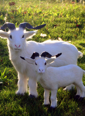 包邮仿真犛牛大犛牛展厅庆典犛牛摆件仿真皮毛动物工艺品犛牛标本