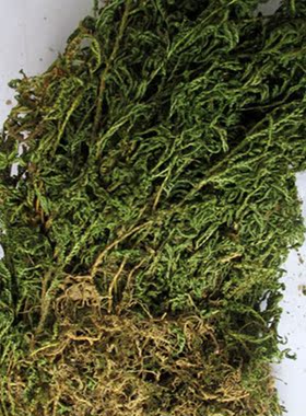 福建野生香藤根满山香风藤子隔山香过树龙客家特色炖美味汤料包邮