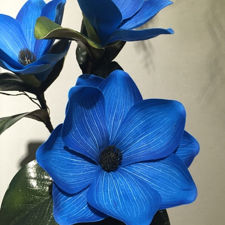 爱逛街为您找到蓝色玉兰相关的宝贝,您可以在下面的板块中挑选喜欢的