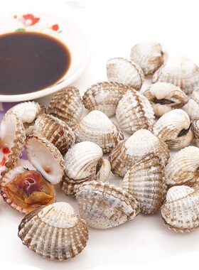 野生毛蛤 海滩 血蛤 新鲜 鲜活补血 健胃