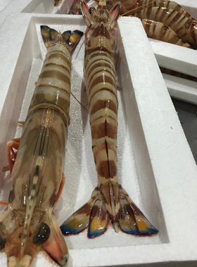 爱逛街为您找到新鲜海鲜相关的宝贝,您可以在下面的板块中挑选喜欢的