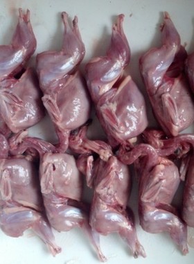 包邮新鲜野兔肉现杀冷鲜白条兔子肉坡兔子肉冷冻兔肉美味兔子头