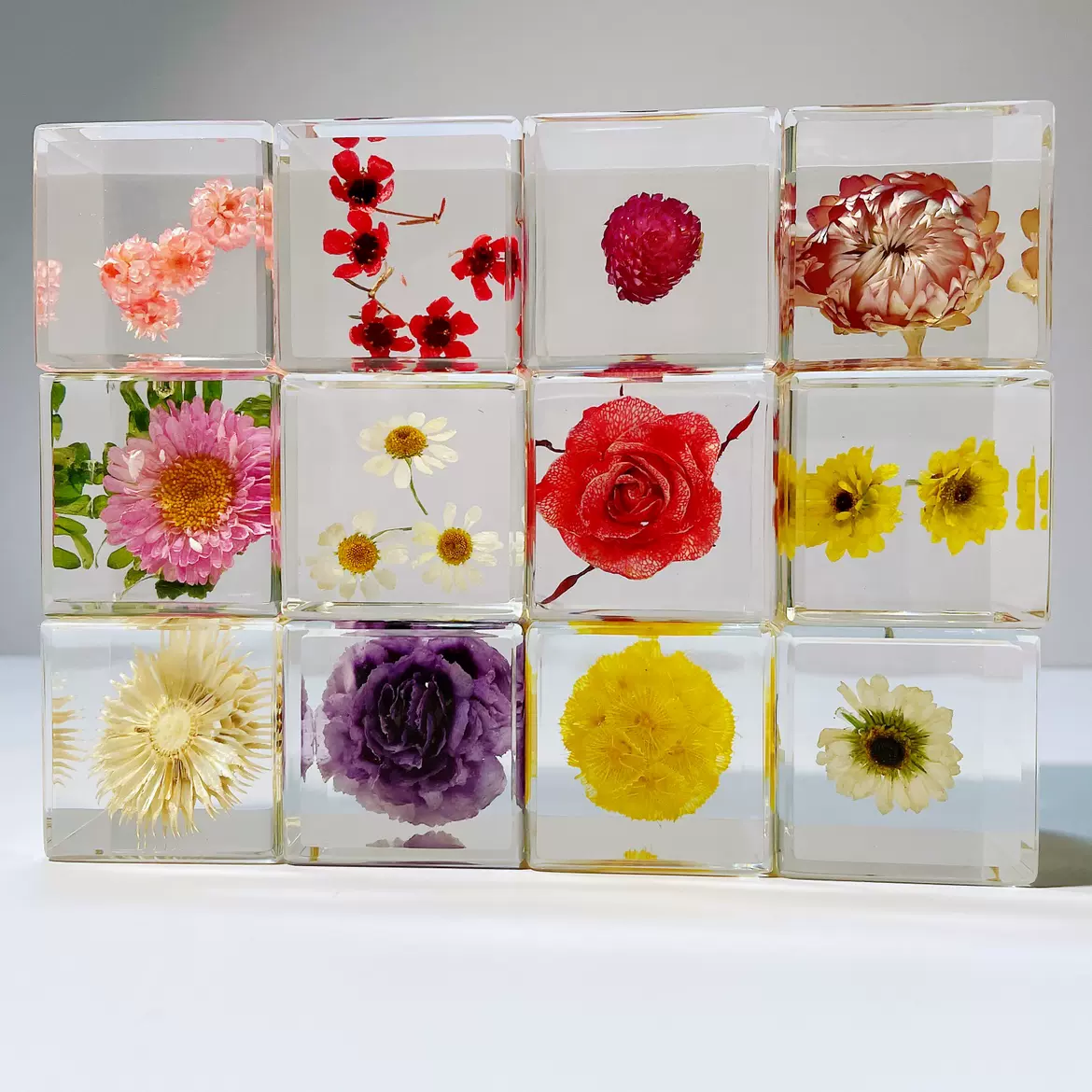 永生花标本滴胶盲盒玫瑰花腊梅树脂小摆件立方体女友生日 永生花标本滴胶盲盒玫瑰花腊梅树脂小摆件立方体女友生日