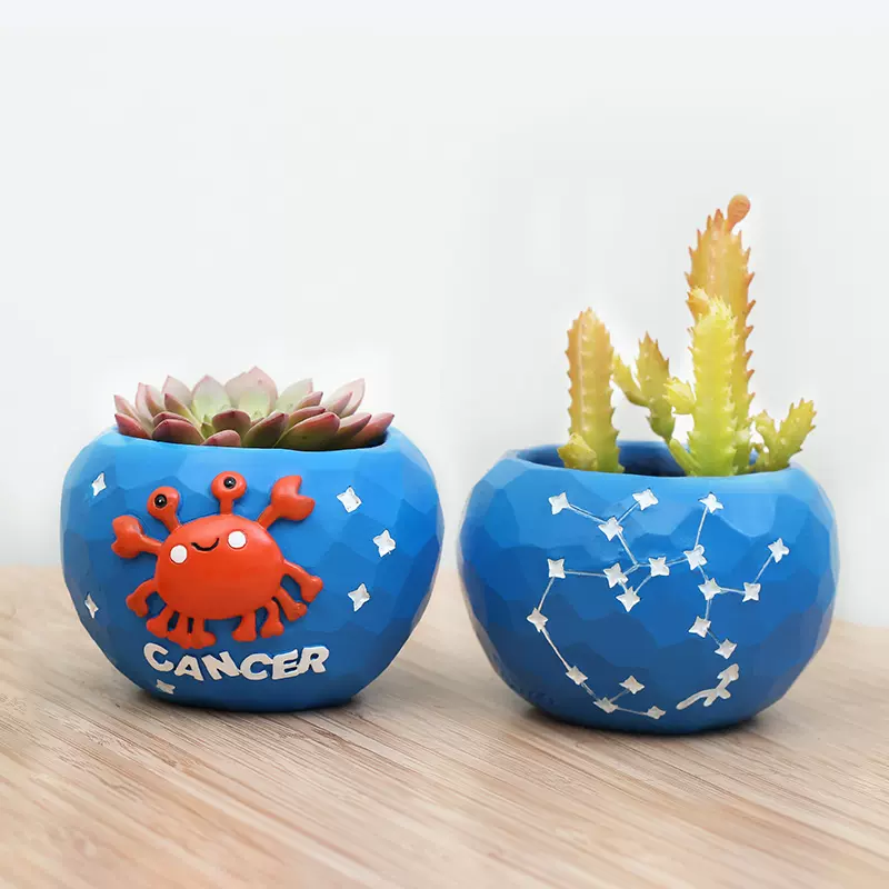 十二星座花盆 新人首单立减十元 21年11月 淘宝海外
