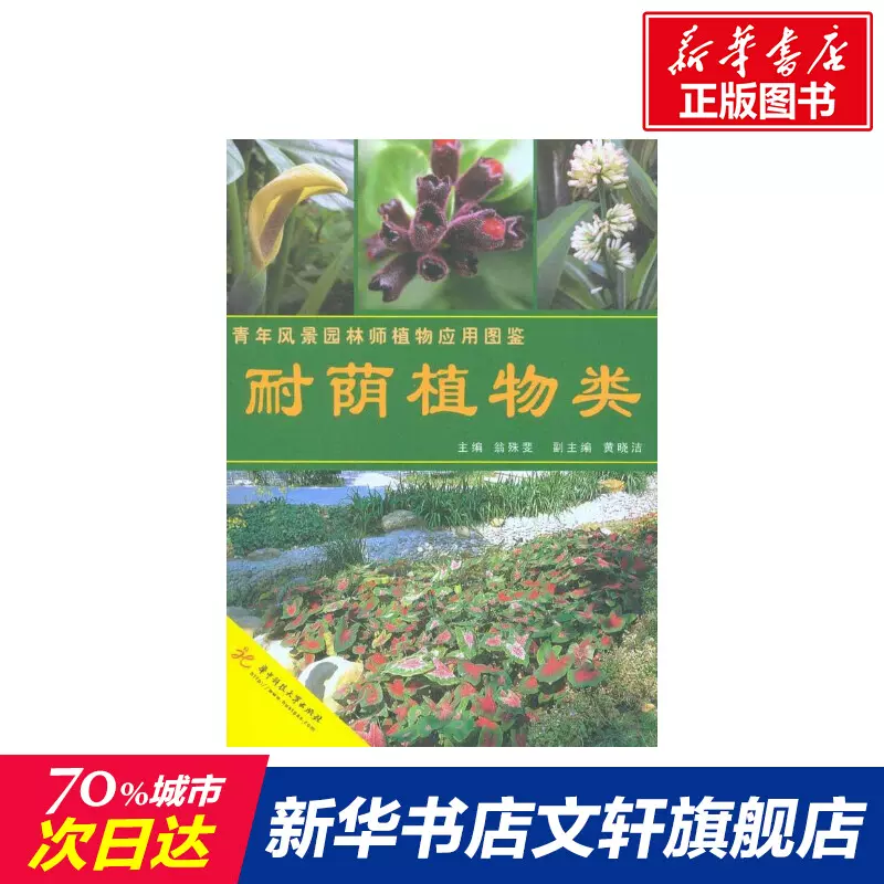 花根苗 新人首单立减十元 21年11月 淘宝海外