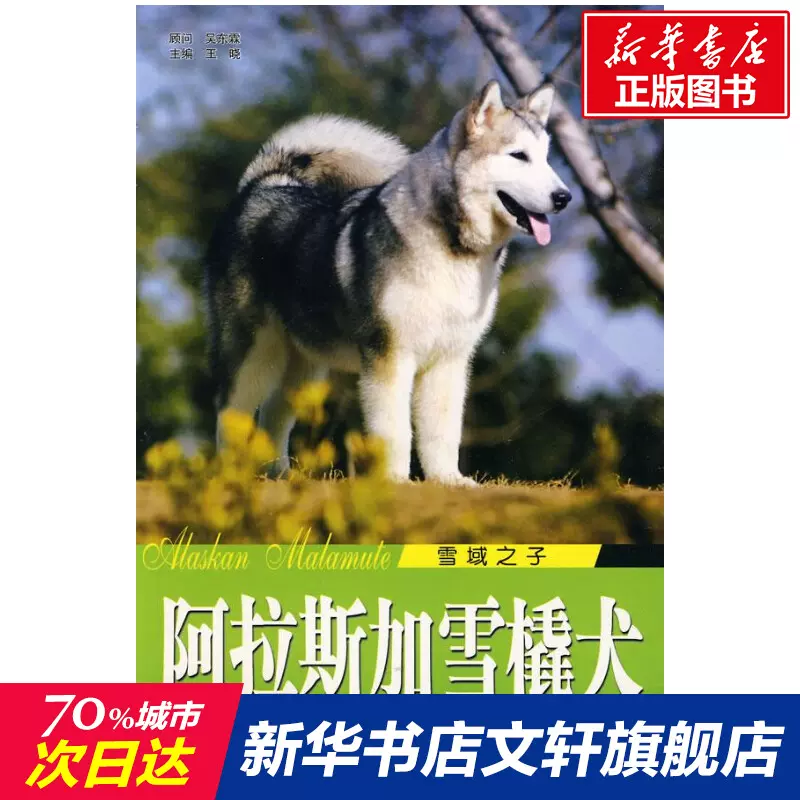 阿拉斯加雪橇犬 新人首单立减十元 21年10月 淘宝海外