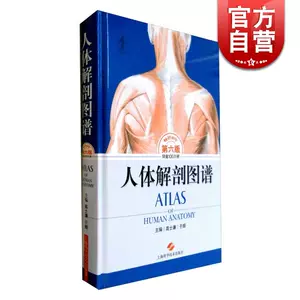 英文書】ATLAS OF ANATOMY （人体医学書）。-