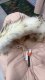 004004 milk puff real hair collar 90 gooseberry hooded one-hand gooseberry jacket for women winter thickened bread clothes
