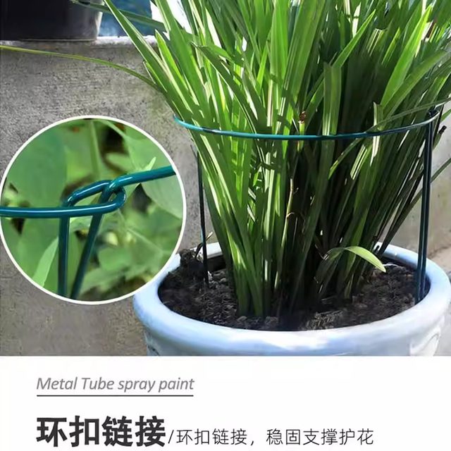 Flower support frame Money tree plant semicircular flower bracket anti-looping support rod Monstera tiger skin orchid leaf protection frame