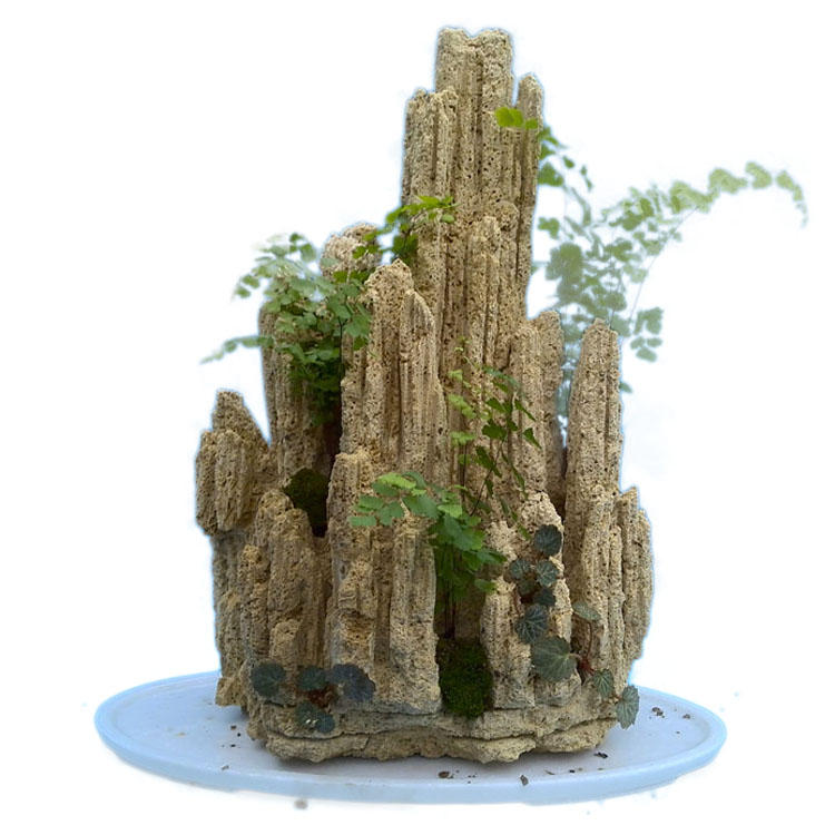 主圖僅供參考吸水石原石天然石頭化石魚缸造景上水石假山盆景