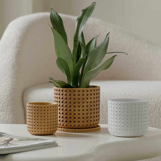 Retro imitation woven lattice cement small flowerpot with tray living room home indoor succulent flower pot balcony ornaments