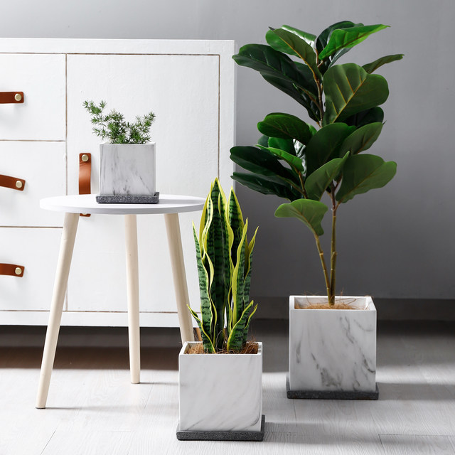 Ceramic flowerpot Nordic style simple succulent marble succulent tulip butterfly orchid creative square flowerpot