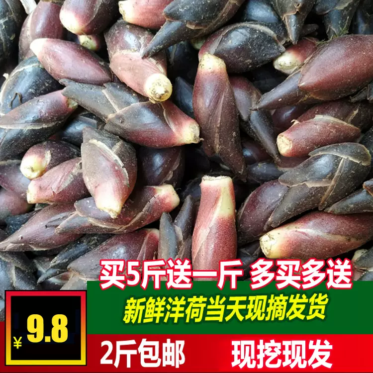 阳荷姜新鲜 新人首单立减十元 21年11月 淘宝海外