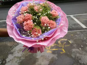 11康乃馨花束 新人首单立减十元 22年10月 淘宝海外