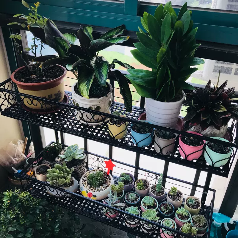 欧式铁艺栏杆护栏悬挂花架双层花盆架壁挂盆栽多肉花架子阳台