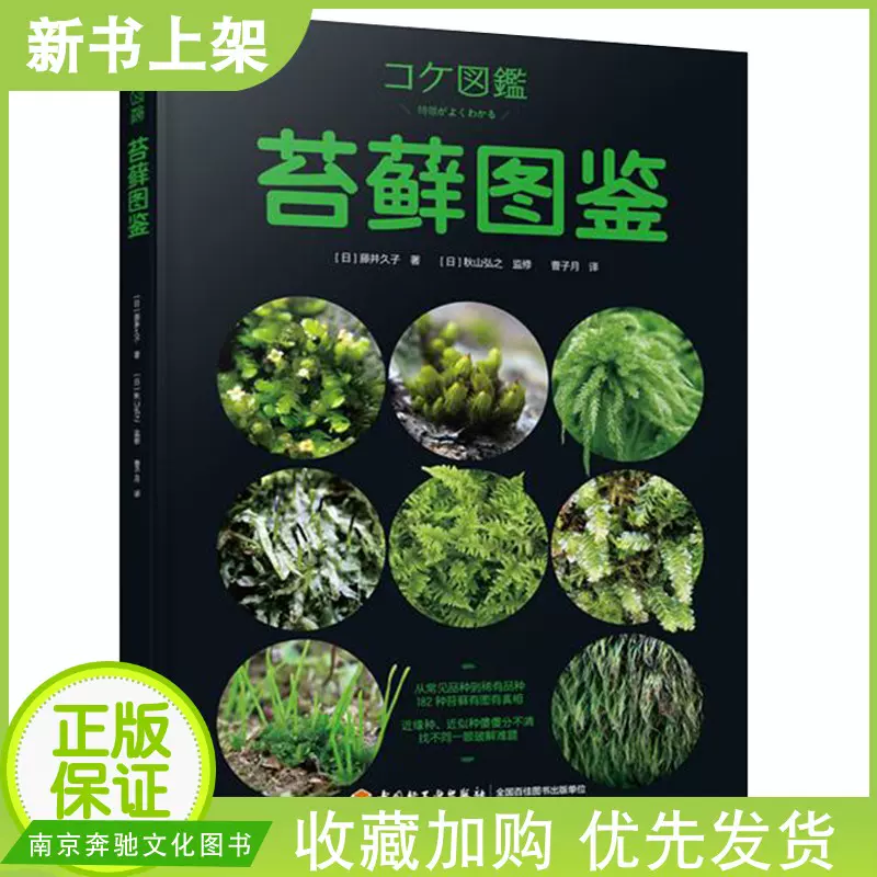 苔球盆栽 新人首单立减十元 21年10月 淘宝海外