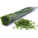 
Four seasons green onion seeds seedlings chive seeds green onion potted green onion seeds vegetable seedlings divided into green onion dried shallots