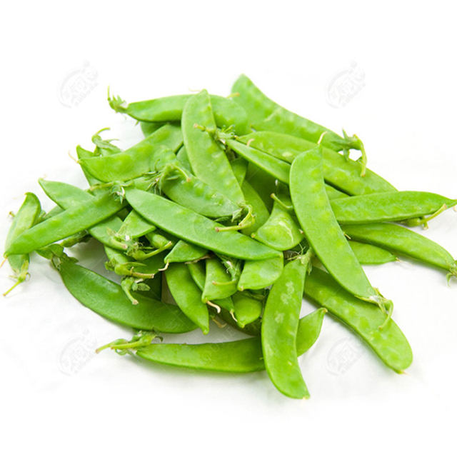 Dutch bean seed seeds pea seeds sweet vegetables pea seeds seeds soln seeds seeds broad bean rapeseed tip beans