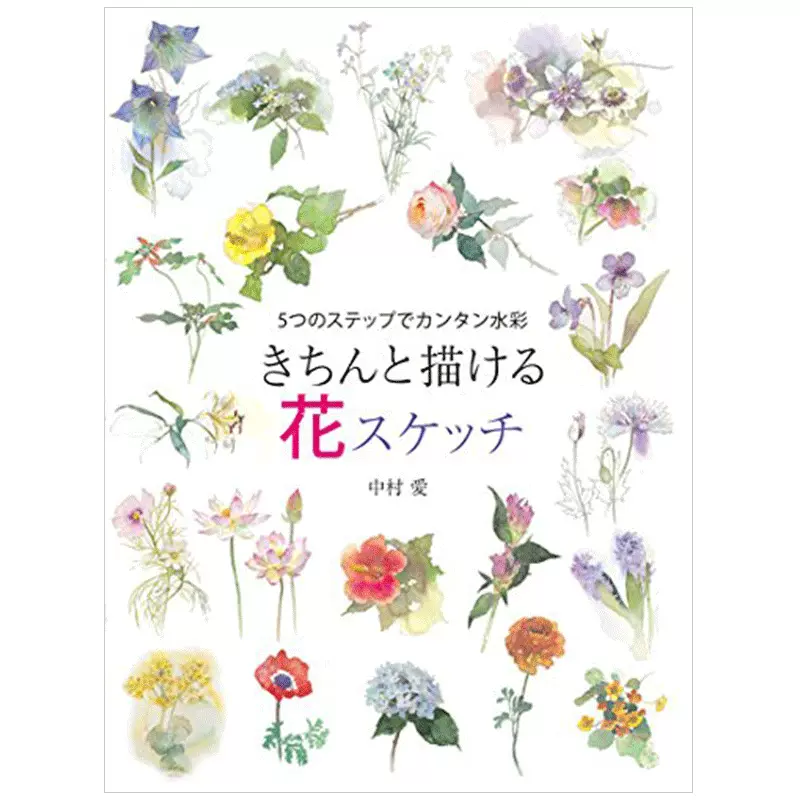 きちんと描ける花スケッチ5つのステップでカンタン水彩 整齐的花素描5个步骤简单水彩水彩技法入门日文原版