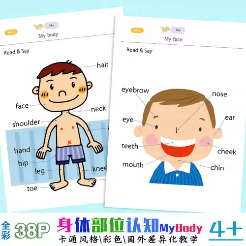 认识身体部位 新人首单立减十元 22年1月 淘宝海外