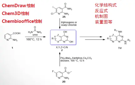 分子结构式 新人首单立减十元 2021年11月 淘宝海外
