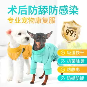 狗狗术后防舔服 新人首单立减十元 22年4月 淘宝海外