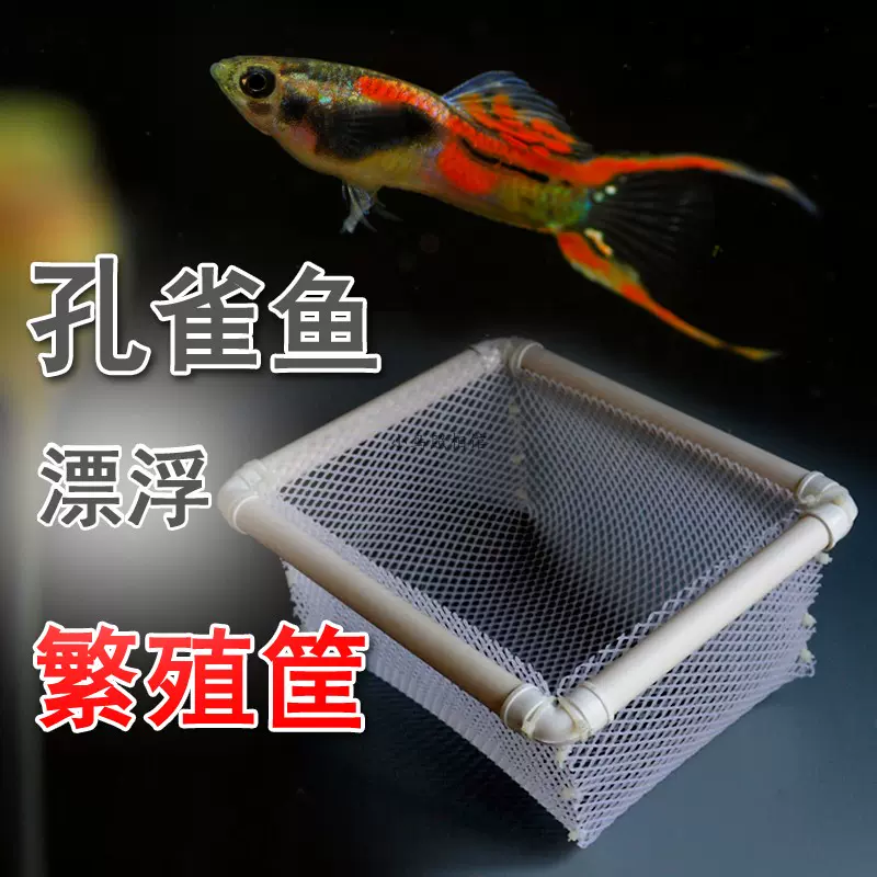 孔雀魚繁殖筐自漂浮魚廠用定製訂做小魚苗隔離網