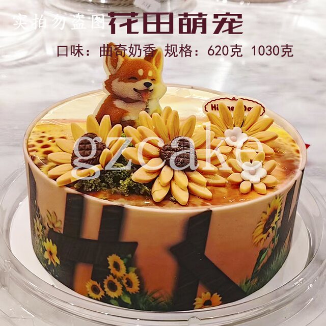 Häagen-Dazs Flower Field Cute Ice Cream Birthday Cake Ice Cream Delivered to Your Doorstep from a Specialty Store in the Same City