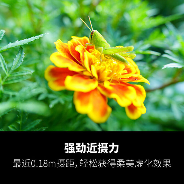 Tamron 28-75mmF2.8 G2 second generation E-mount full-frame micro-single lens 2875 second generation