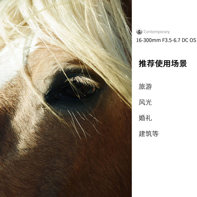 Sigma 16-300mm F3.5-6.7OS anti-shake wide-angle telephoto lens Sigma 16300E/RF port