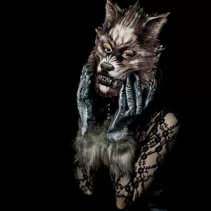 狼爪手套 新人首单立减十元 22年8月 淘宝海外