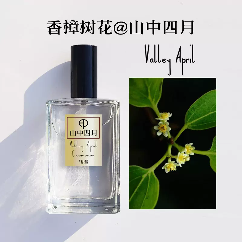 月桂树 新人首单立减十元 21年11月 淘宝海外