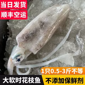 乌贼鱼冷冻海鲜 新人首单立减十元 22年9月 淘宝海外