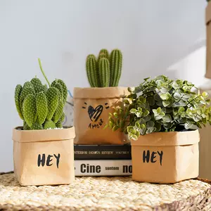 花包装纸花盆 新人首单立减十元 22年10月 淘宝海外