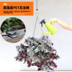 Use bird cage hook for hanging pots, gardening, telescopic hooks, creative household products, lifting rope, green ivy, can be used for matching