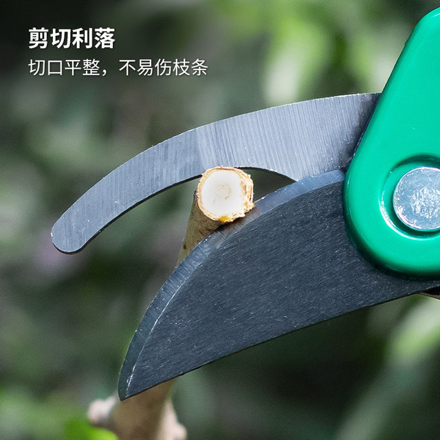 Japanese ECHO gardening scissors, garden pruning scissors, fruit tree pruning branches, floral scissors, household bonsai flower scissors