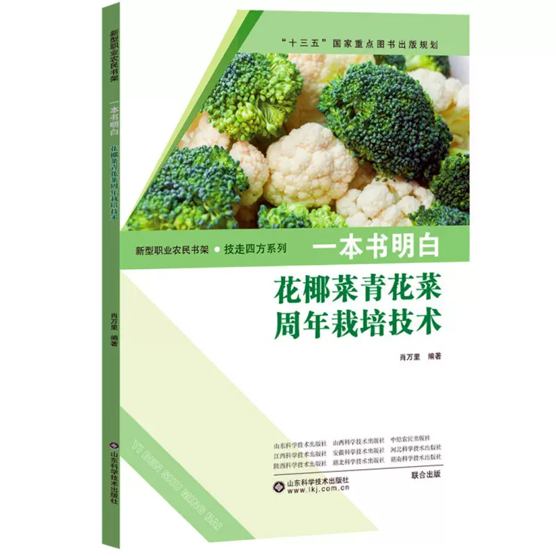 花椰菜种子 新人首单立减十元 21年11月 淘宝海外