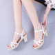 2023 new summer sandals for women's shoes, fashionable and sweet fairy style high heels sandals, open toe thick heels, trendy and versatile