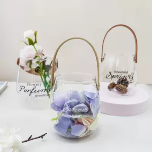 Ins北欧玻璃提手花瓶插花 新人首单立减十元 22年6月 淘宝海外