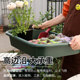 Home Succulent Planting Soil Change Operation Pallet Gardening Floor Mat Anti-Dirty and Anti-Slide Soaking Basin Fertilization Plastic Pallet