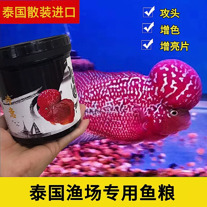 罗汉功-新人首单立减十元-2021年11月淘宝海外