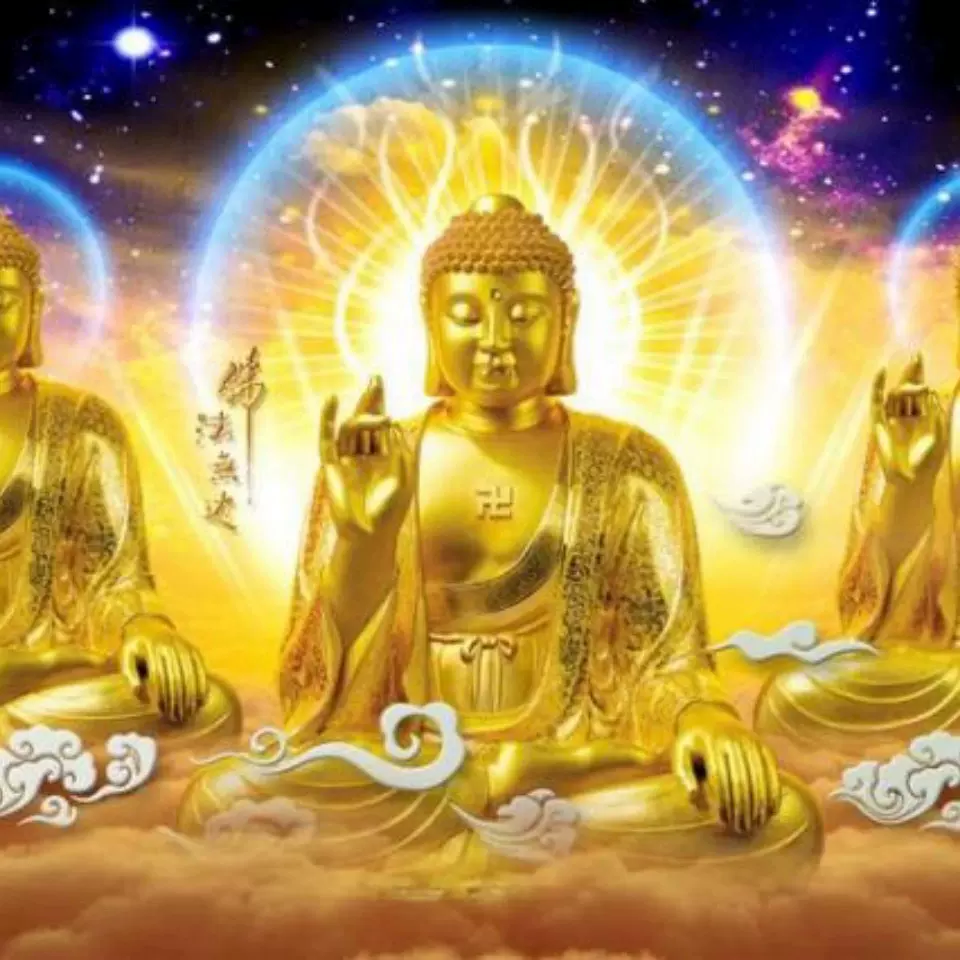 如来佛贴纸 新人首单立减十元 21年11月 淘宝海外