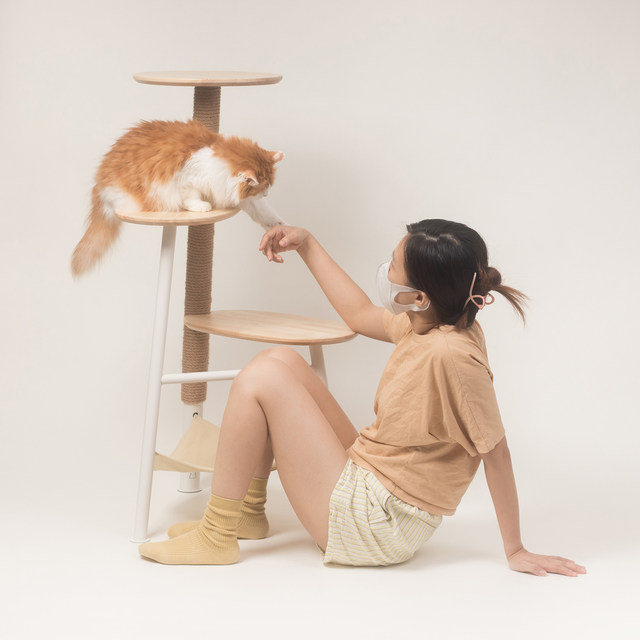 INFLUFFY Rangli-Cat climbing rack imported rubber wooden cat climbing ...