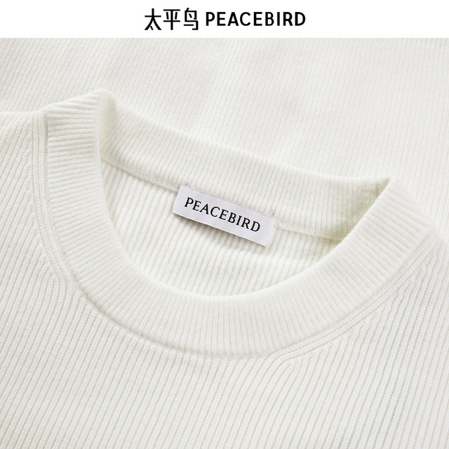 PEACEBIRD Men's Casual Sweater Solid Color Sweater Warm Inner Knitted Sweater Fashionable Sweater Men's Wool Pullover