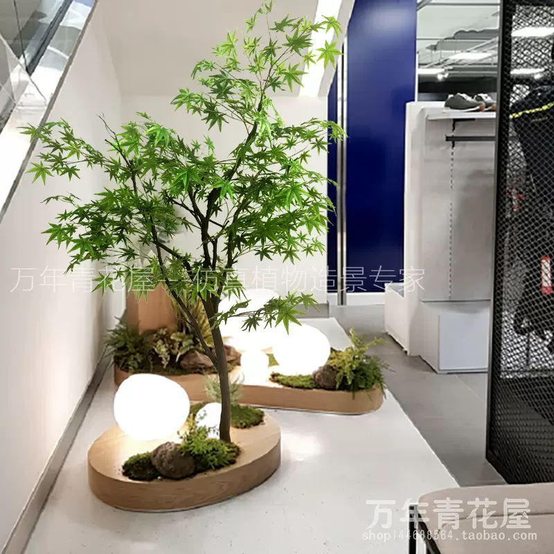 日本红枫小苗 新人首单立减十元 22年1月 淘宝海外