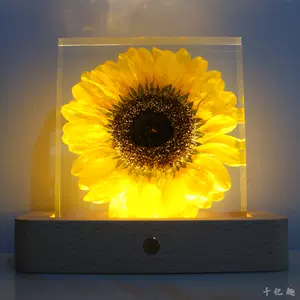 树脂花标本 新人首单立减十元 22年3月 淘宝海外 树脂花标本 新人首单立减十元 22年3月 淘宝海外