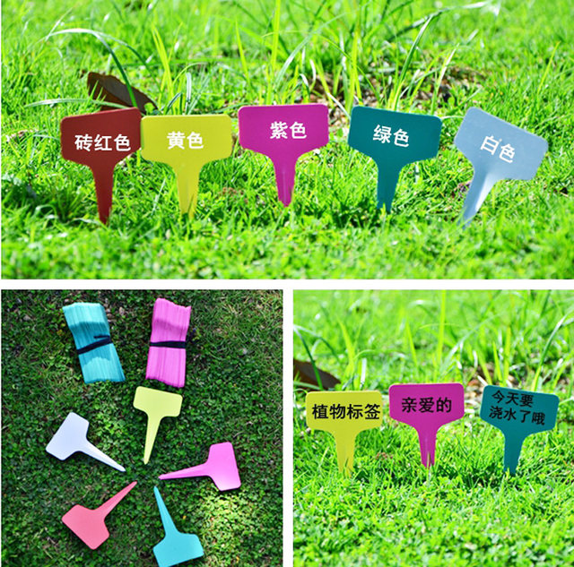 Plant label Gardening label T-shaped succulent label Colorful sign micro landscape waterproof floor sign