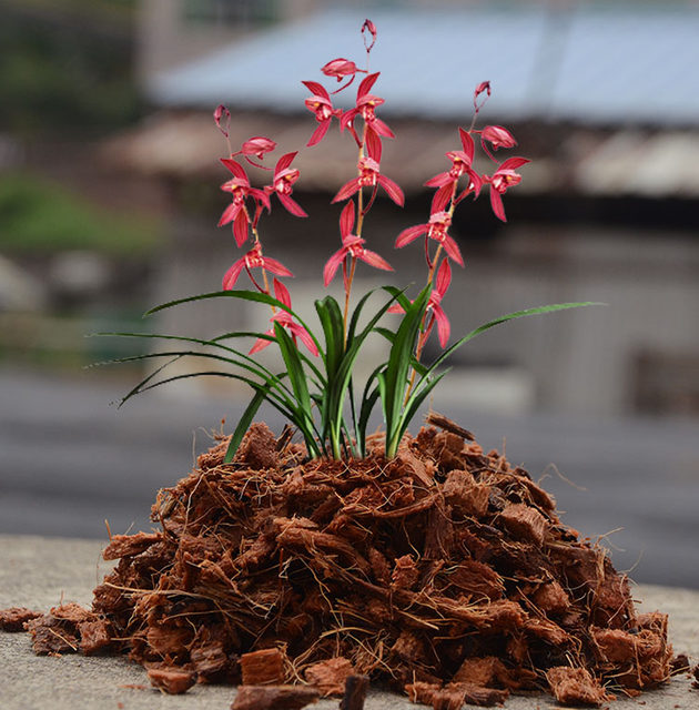 Coarse coconut brick orchid clivia bark nutritional soil coarse particle dendrobium coconut shell brick vegetable planting flower coarse coconut bran soil