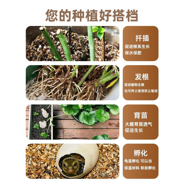 Vermiculite perlite particles root cutting seedling cultivation soil matrix succulent hatching rose soil nutrient soil